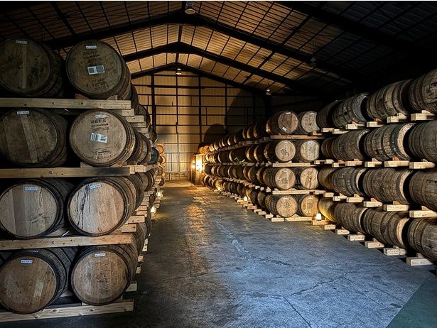 プロジェクションマッピングの演出も！