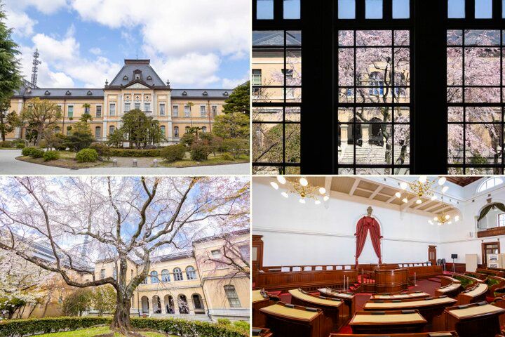 京都・二条城から京都御苑へ街なかの桜さんぽ♪ お庭や名建築、カフェめぐりも