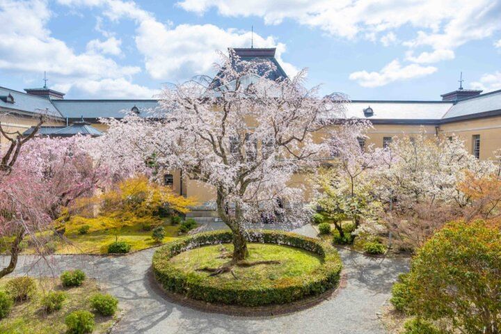 京都・二条城から京都御苑へ街なかの桜さんぽ♪ お庭や名建築、カフェめぐりも