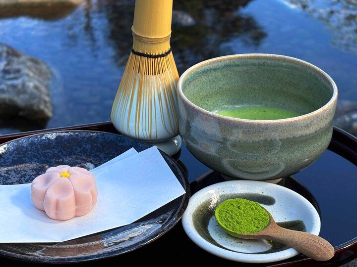 京都・二条城から京都御苑へ街なかの桜さんぽ♪ お庭や名建築、カフェめぐりも