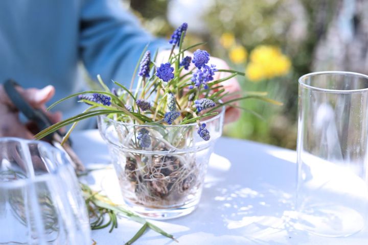 ムスカリのアレンジ