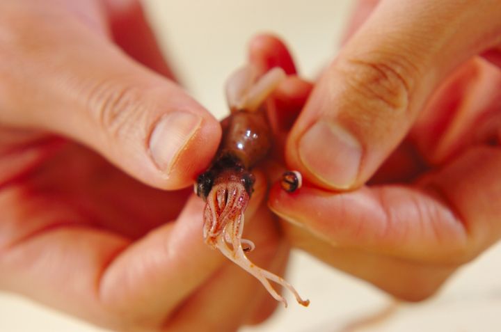 春色満載！ほたるいかのパスタの下準備1