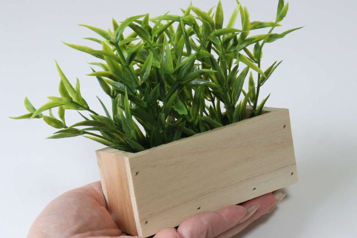 ダイソーの木製グリーンポットのサイズ