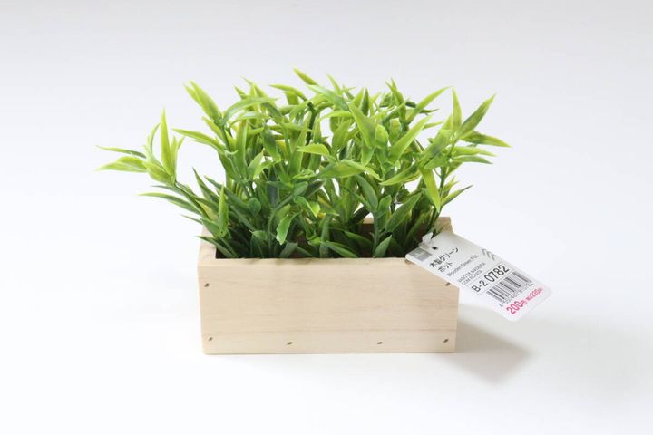 ダイソーの木製グリーンポット