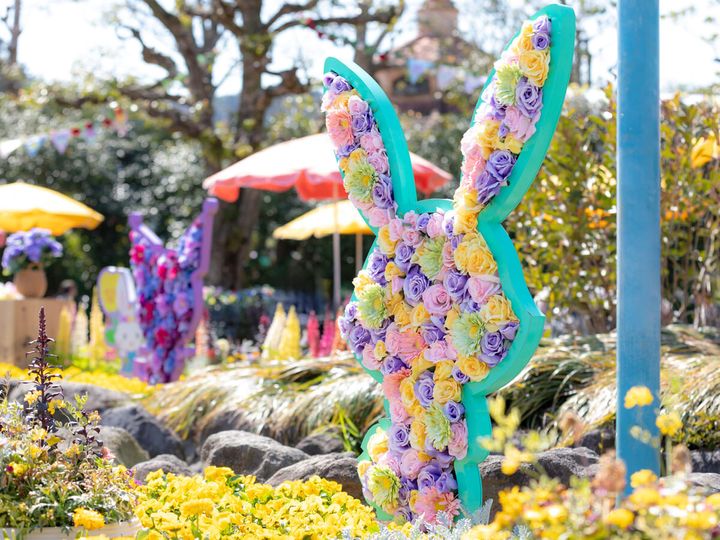 花いっぱいのフラワーガーデンやフォトスポット3