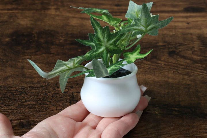 ダイソー グリーンポット 計量