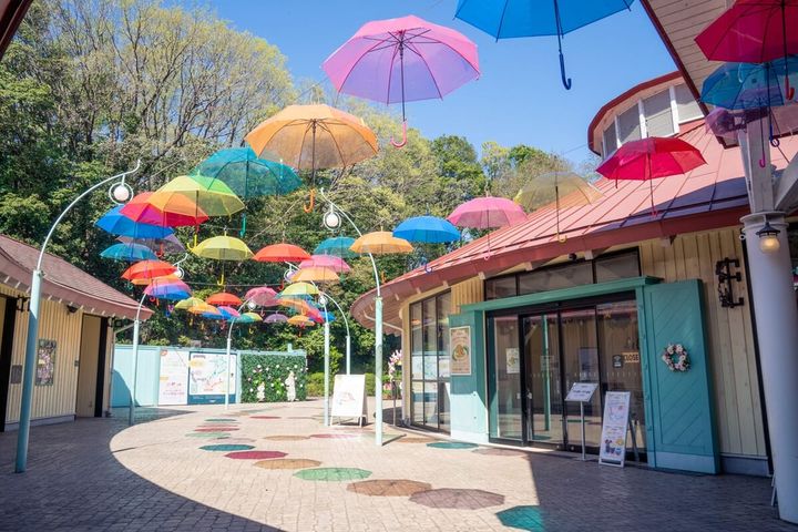 アンブレラスカイ1