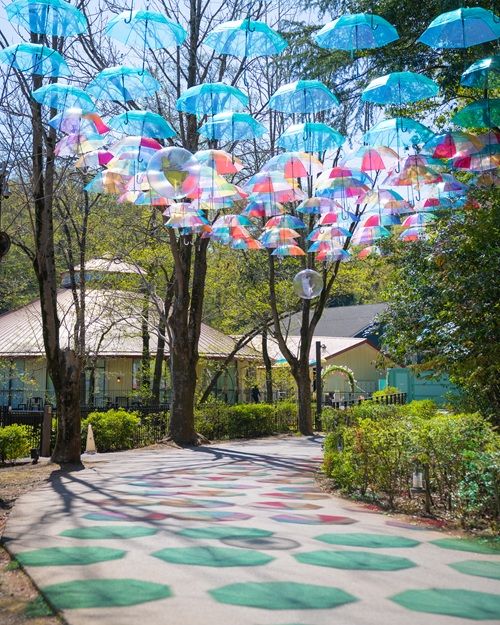 アンブレラスカイ4