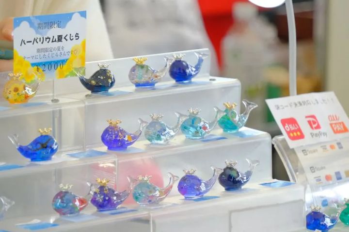 ガラス製クジラのハーバリウム作品