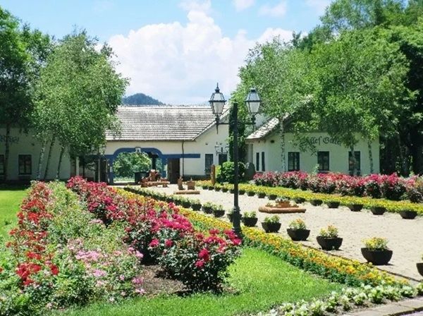 【長野県塩尻市】「信州塩尻農業公園 チロルの森」にシルバニアファミリーの体験型屋内施設がオープン