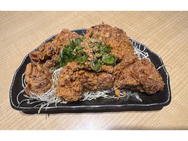 【大阪府堺市】各地で愛される唐揚げの名店が集まる「からあげ祭 in イオンモール堺北花田」開催！