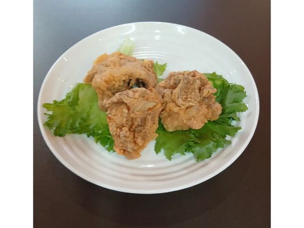 【大阪府堺市】各地で愛される唐揚げの名店が集まる「からあげ祭 in イオンモール堺北花田」開催！