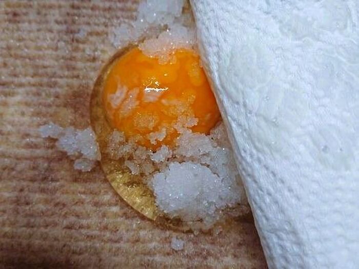 「生卵を落としちゃった…」そんな時はしばらく放置するのが正解！？驚きの掃除術を試してみた結果