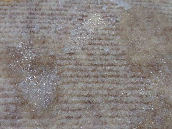 「生卵を落としちゃった…」そんな時はしばらく放置するのが正解！？驚きの掃除術を試してみた結果