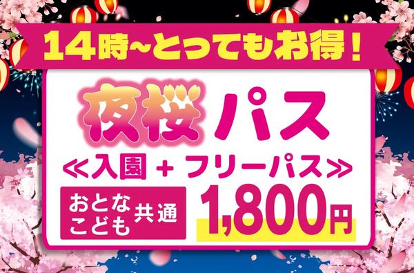 【埼玉県加須市】遊園地×花見×打ち上げ花火が楽しめる、むさしの村「夜桜打ち上げ花火大会」開催！