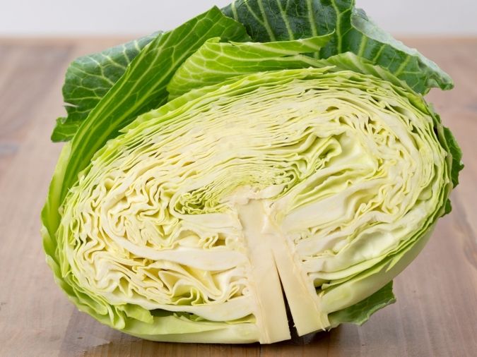 キャベツ 保存方法 断面