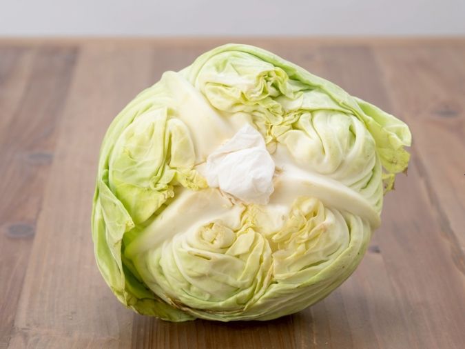 キャベツ 芯 保存方法