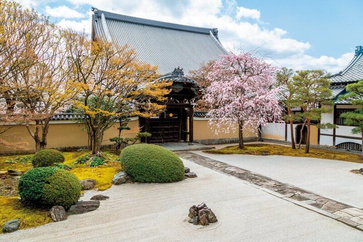 春爛漫の西陣桜さんぽ。京都よりみちこみち 寺之内通＆小川通【後編】