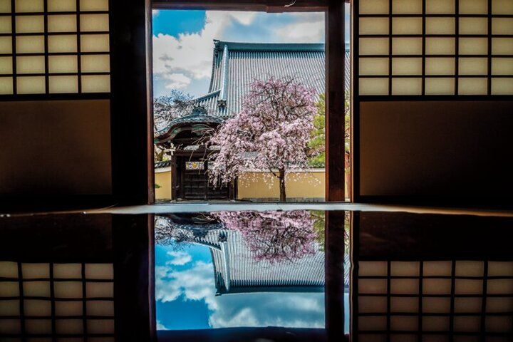 春爛漫の西陣桜さんぽ。京都よりみちこみち 寺之内通＆小川通【後編】