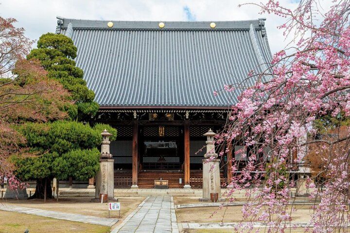 春爛漫の西陣桜さんぽ。京都よりみちこみち 寺之内通＆小川通【後編】