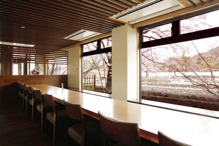 茶莵里のカウンター席から一望する宇治川と桜