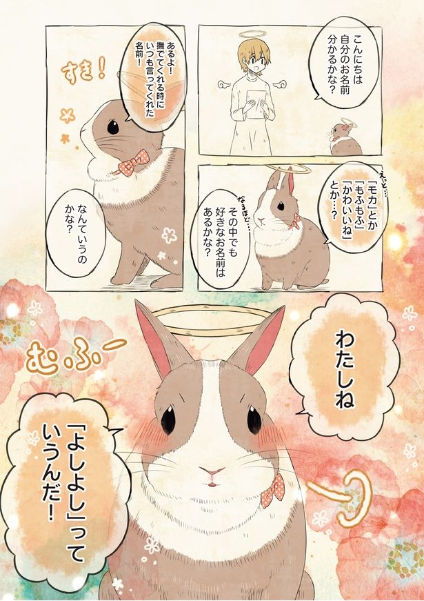 撫でてくれる時にいつも言ってくれた名前！ (C)桜プリン／KADOKAWA