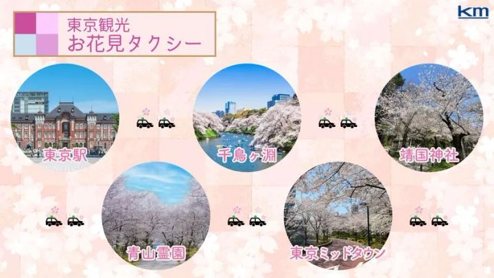 東京観光お花見タクシー モデルコース