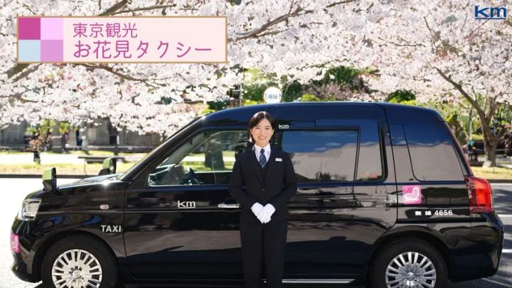 東京観光お花見タクシー