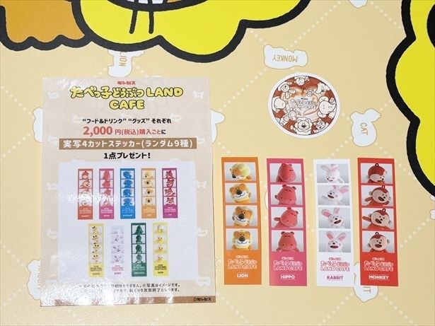 どうぶつたちのポーズが個性豊かでかわいい！