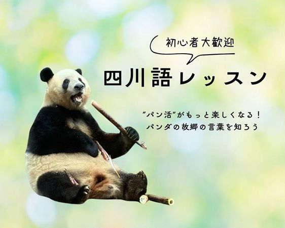 【東京都新宿区】シャンシャンの毎日を撮った写真集が発売！出版記念イベント「大パンダ展」も開催