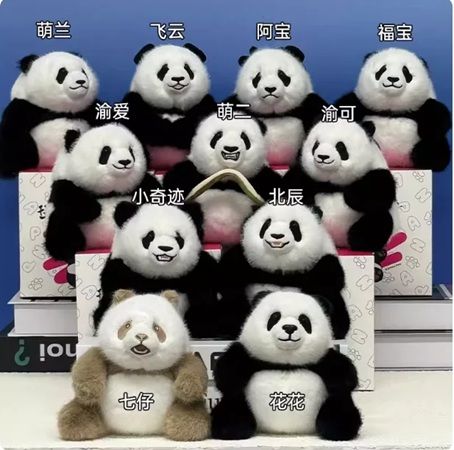 【東京都新宿区】シャンシャンの毎日を撮った写真集が発売！出版記念イベント「大パンダ展」も開催