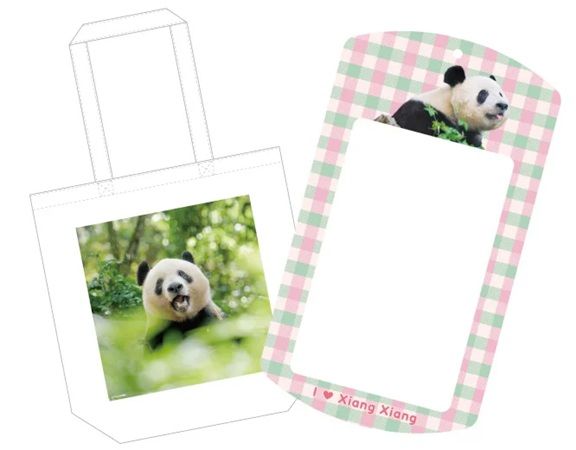 【東京都新宿区】シャンシャンの毎日を撮った写真集が発売！出版記念イベント「大パンダ展」も開催