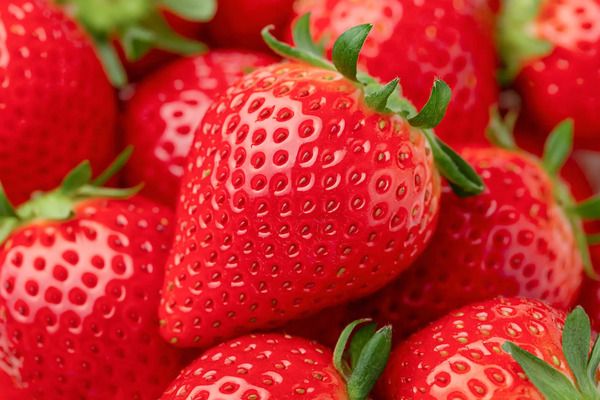 おいしさとビタミンCを追求した北広島農場の「おいCベリー」を、100セット限定販売！