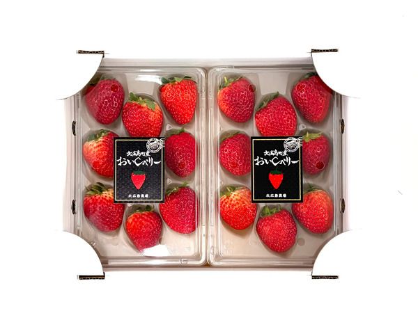 おいしさとビタミンCを追求した北広島農場の「おいCベリー」を、100セット限定販売！