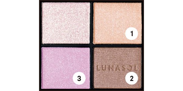 ルナソル アイカラーレーションN