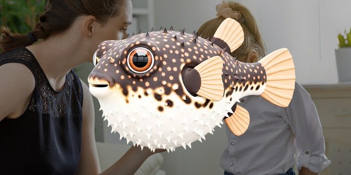 「理想的な体罰」と「フグの調理免許」の関係――できる人だけやる、という危険