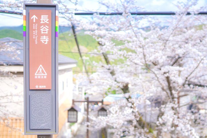 桜舞う境内に誘われて。花の御寺・長谷寺で出会う春の絶景さんぽ