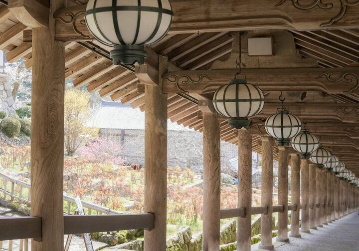 桜舞う境内に誘われて。花の御寺・長谷寺で出会う春の絶景さんぽ