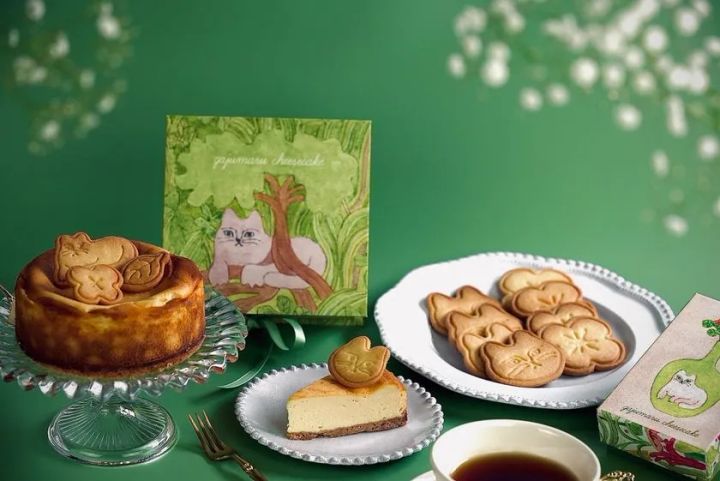 gajumaru cheesecakeのベイクドチーズケーキ