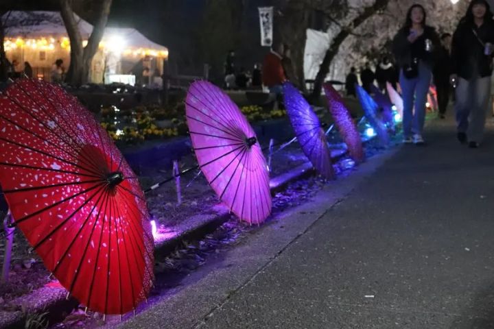 和傘イルミネーションと夜の上田城跡公園