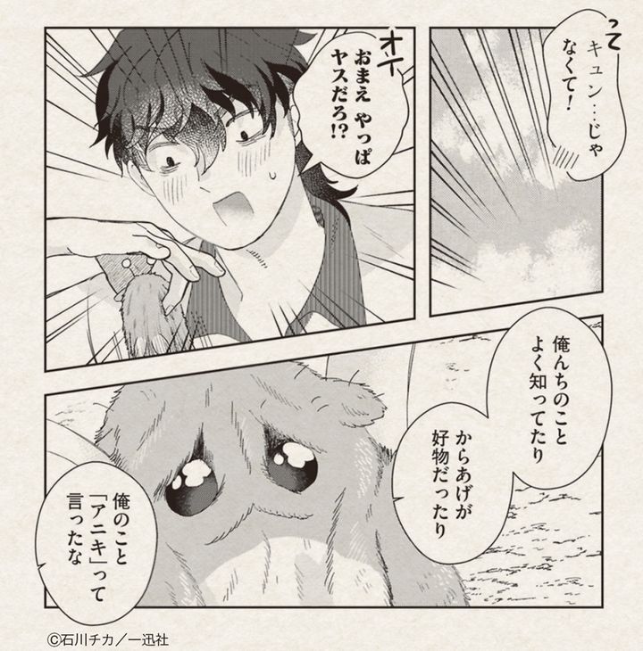 石川チカ『超常!未知との遭遇!?』1。命を助けてもらった未知の生物を、連れて帰ってきた鬼怒。進化と退化を行ったり来たりする姿に翻弄されつつ、ときどきほっこり。そして新たな真実が!? 一迅社 825円 Ⓒ石川チカ/一迅社