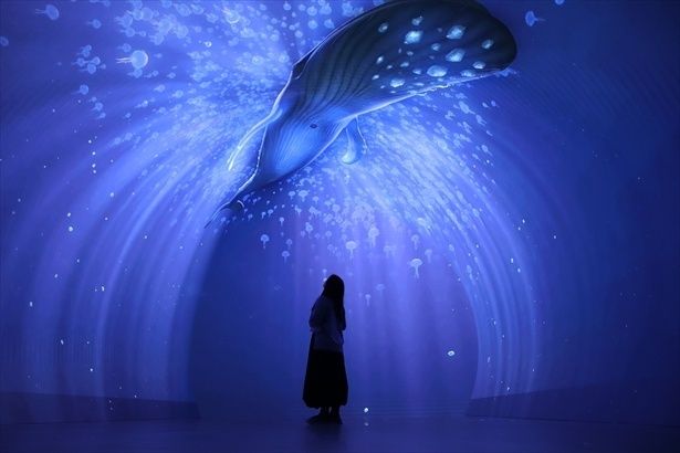 没入体験施設「ワンダリア横浜」