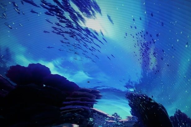 頭上の光景も見逃せない