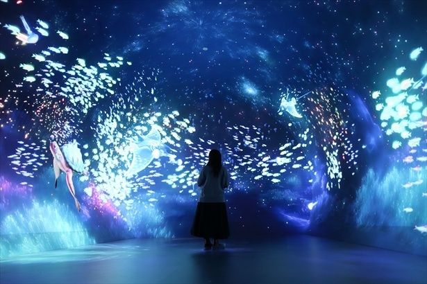 没入空間の中で幻想的な写真を撮るのも楽しみ