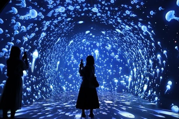 まばゆいクラゲの大群はゾーン2でも注目のポイント