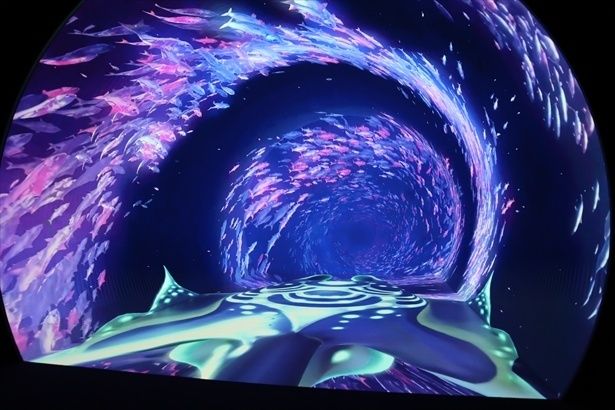 ゾーン2：ダイブ・トゥ・ブルー