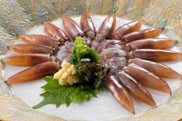 【写真】ホタルイカ 画像提供：富山県 観光振興室