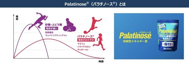 【画像】DM三井製糖が長年研究を重ねる「パラチノース」