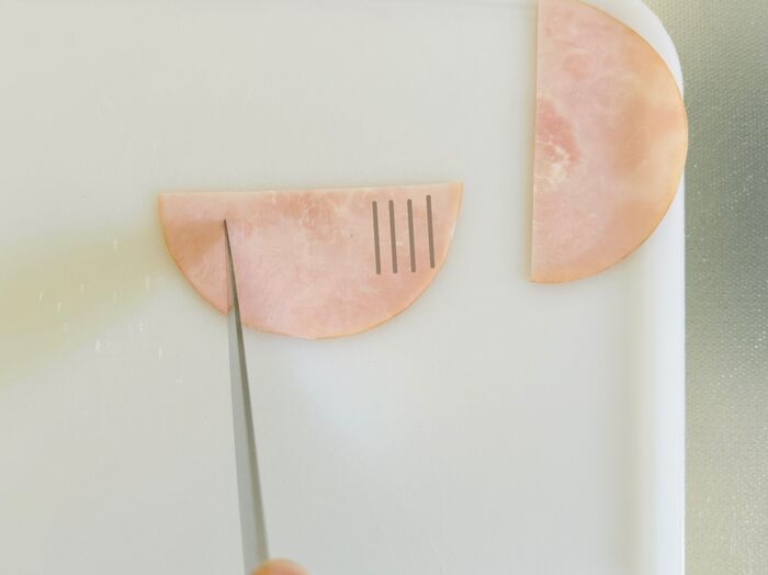 ビジュが大爆発する♡〈ハムの詰め方〉お弁当にテンション上がっちゃう「お花見に最高です…」