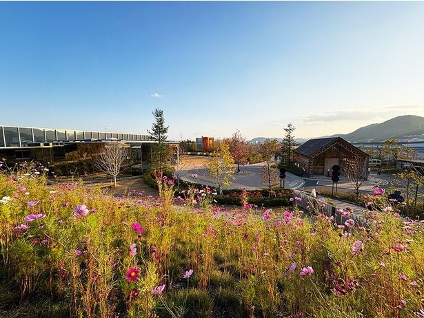 敷地内には美術館のほかにも宿泊できるヴィラや、フレンチレストランが併設されている